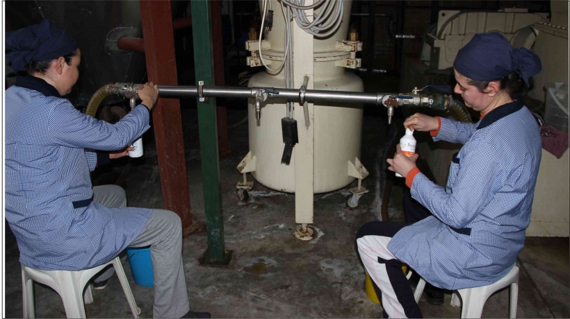 ZEYTİNYAĞLI KEDİ VE K&Ouml;PEK ŞAMPUANI &Uuml;RETTİLER