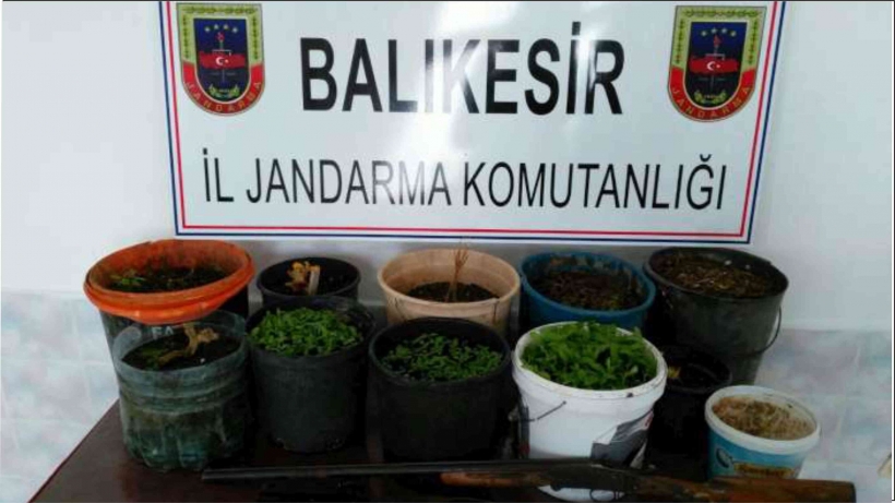 UYUŞTURUCULARI SAKSIYA DİKTİLER