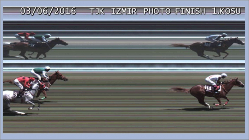 AYVALIK&rsquo;TA SAFKAN ARAP ATLARI YETİŞTİRİLİYOR