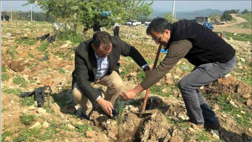 AYVALIK&rsquo;TA ORMAN HAFTASI VE AĞA&Ccedil; BAYRAMI