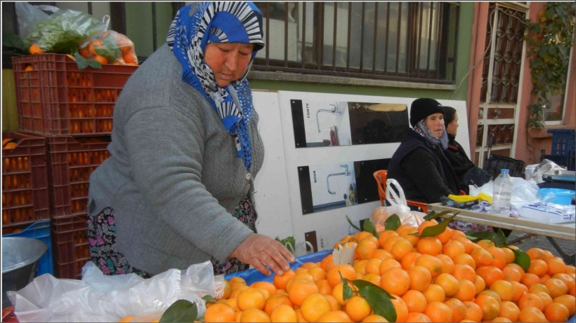MANDALİNA &Uuml;RETİCİLERİ DERT K&Uuml;P&Uuml;