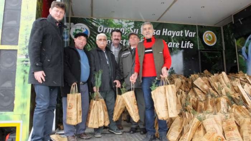 BURHANİYE’DE ÜCRETSİZ 4 BİN ADET ÇAM FİDANI DAĞITILDI