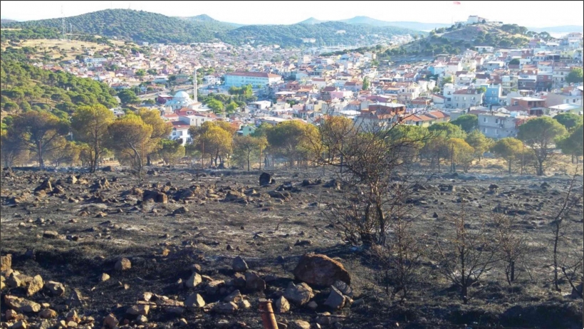AYVALIK&rsquo;TA ORMANLIK ALANDA &Ccedil;IKAN YANGIN KORKUTTU