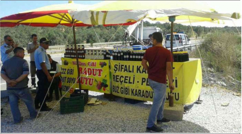 AYVALIK BELEDİYESİ&rsquo;NDEN TABELA VE KARADUT TEZG&Acirc;HLARI OPERASYONU