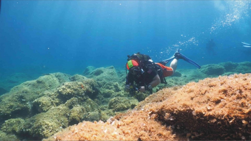 AYVALIK SUALTI MERAKLILARINI BEKLİYOR