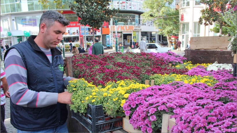 HER MEVSİM YEŞİL EDREMİT..