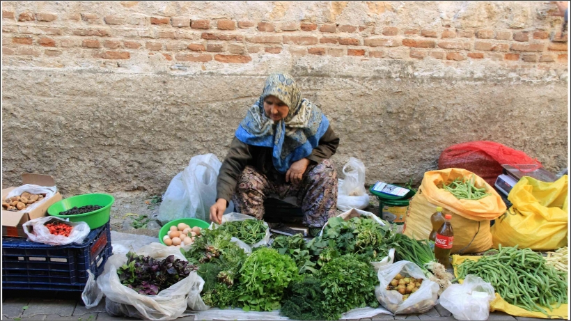 KAZDAĞLARII'NIN YABANİ OTLARI ŞİFA KAYNAĞI