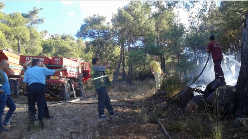 MAYTAP İLE OYNAYAN &Ccedil;OCUKLAR ORMAN YANGINI &Ccedil;IKARDI