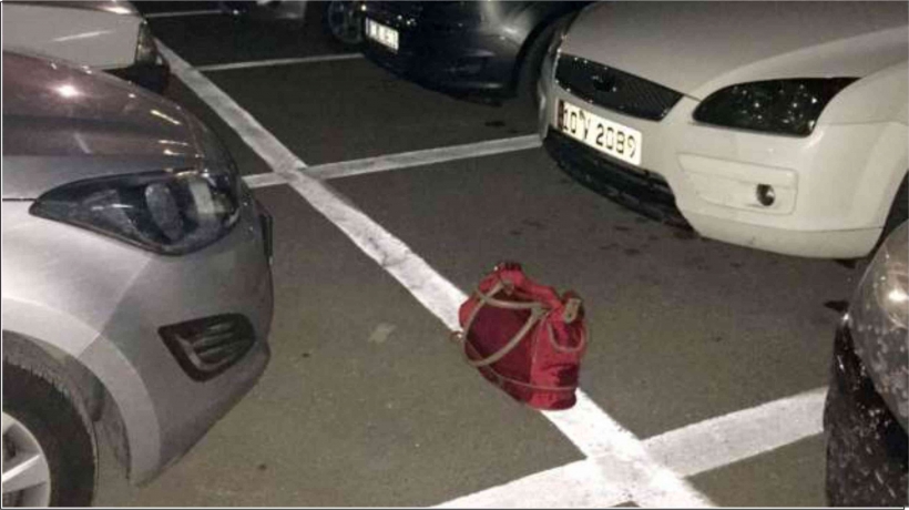 ALIŞVERİŞ MERKEZİNDE Ş&Uuml;PHELİ &Ccedil;ANTA PANİĞİ
